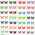 51098-NONE-1