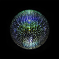 59591-NONE-2